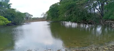 Hacienda-Finca en venta