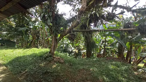 Venta Finca En La Montaña Cerca Al Lago Calima