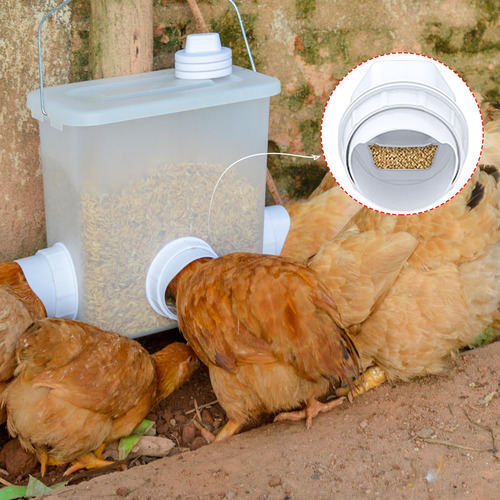 Comedero De Pollo Diy A Prueba De Lluvia Modelo Gravedad 4 Puertos Con Sierra Perforadora