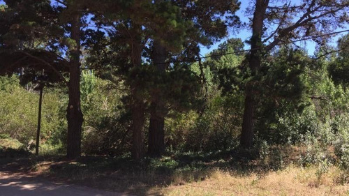 Imagen 4 de 6 de Lote | 45