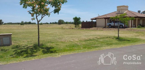 Terreno A La Venta Victoria Entre Rios