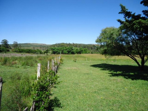 Campo En Venta En Lavalleja, 65 Hectáreas.