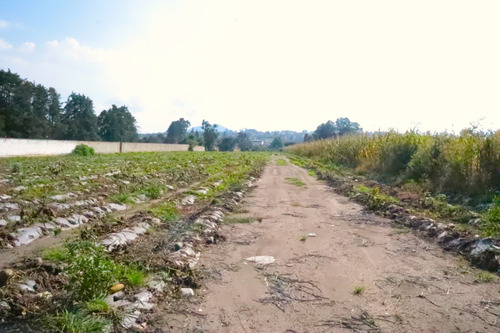 Terreno En Renta Entre Cuautla Y México Amecameca Varios Giros.