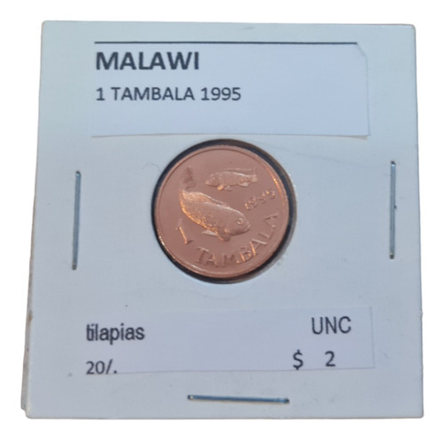 Monedas Mundiales : Malawi 1 Tambala Año 1995