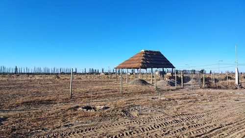 Imagen 2 de 13 de Terreno En Venta San Rafael Mendoza