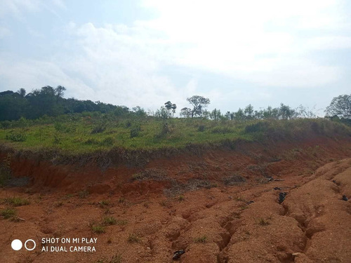 Imagem 5 de 9 de Terreno, Itaim Mirim, Santana De Parnaíba - R$ 3 Mi, Cod: 235438 - V235438