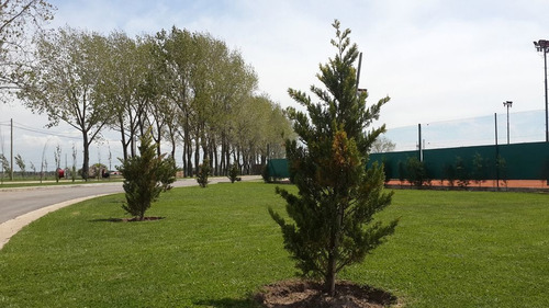 Imagen 4 de 12 de Terreno En Venta En La Alameda