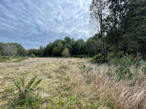 Parcela 5.750 M² Con Bosque Nativo, Cerca De Puerto Varas