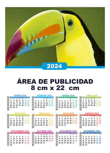 Calendario  Personalizado 2024 (300 Piezas)
