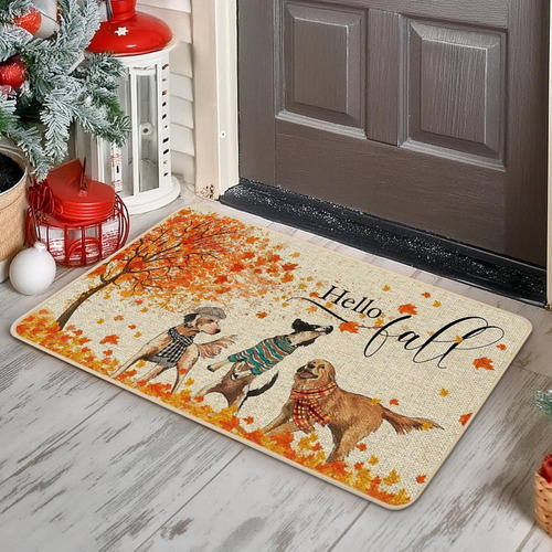 Alfombrilla Engrosada Para Puerta De Entrada, Vestíbulo, Dis