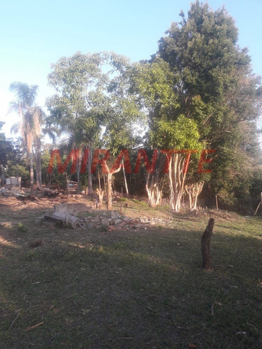 Imagem 8 de 18 de Terreno Em São Vicente - Mairiporã, Sp - 371687