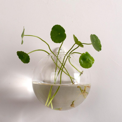 Jarrón Hidropónico De Terrario De Flores, Decoración 12cm