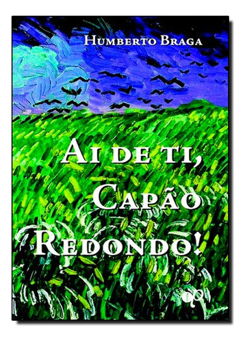 Ai De Ti, Capão Redondo!, De Humberto  Braga. Editora Oficio Das Palavras Editora Em Português