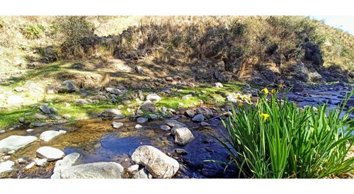 Imagen 27 de 30 de Venta. 67 Hectareas En Candonga, Cordoba. Con 2 Km De Costa De Rio. Titulos Perfectos