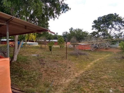 Imagen 25 de 30 de Jose Lopez Ofrece Finca ( Granja Avícola / Agrícola ) En Venta Vía A Duaca Caserio Guayabal Cordero Lara, Venezuela ,j G L Rent - A - House Telf. 0414-5533925 Cod # 22-16836 $ 15000