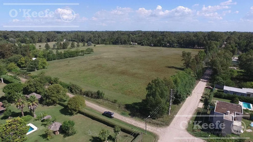 Imagen 6 de 18 de Lote En Venta En El Pato - Barrio Residencial La Vikkina