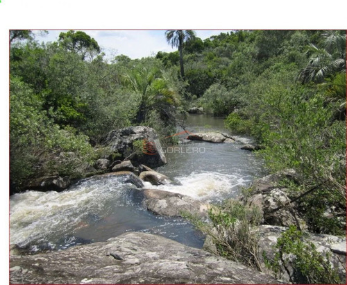Imagen 3 de 12 de Chacra A La Venta En Maldonado A 49 Km De Punta Del Este, Con Cañadas Y Palmeras
