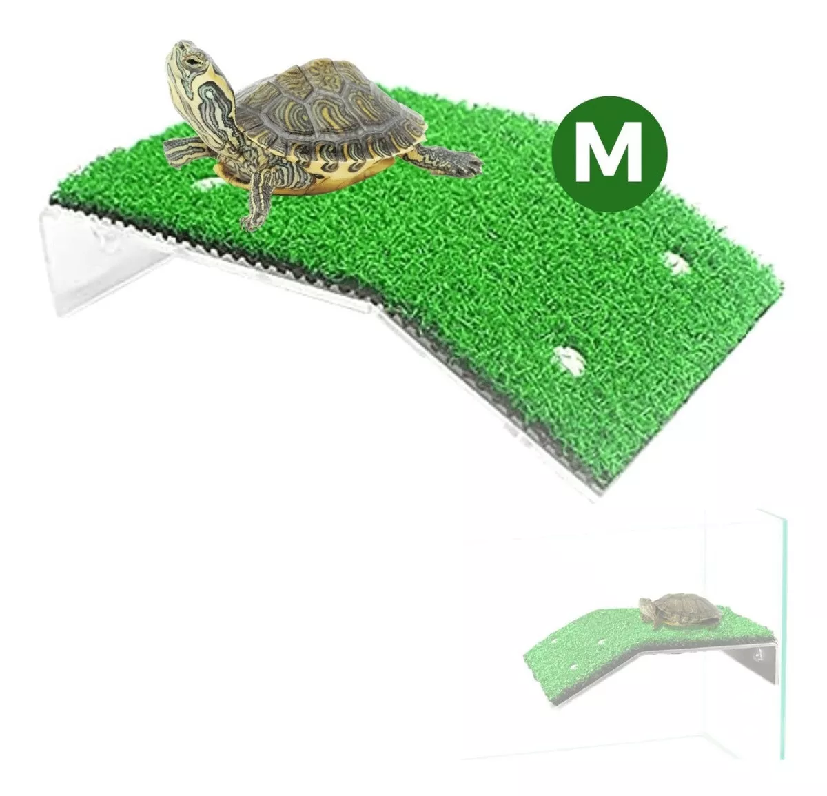 Segunda imagen para búsqueda de terrario tortuga