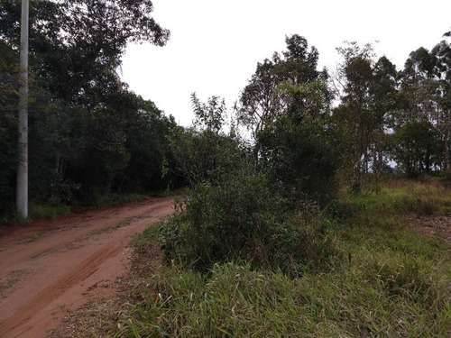 Chácara 5.000 M² - Lomba Grande - Novo Hamburgo - Rs - 1621 - 32420142