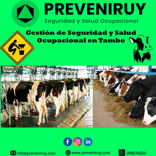 Imagen 8 de 10 de Técnico Prevencionista , Seguridad Y Salud Laboral