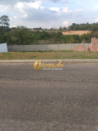 Imagem 2 de 4 de Terreno - Te00289 - 69843202