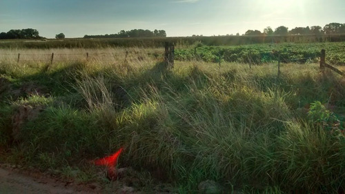 Imagen 9 de 9 de Campo En Gral. Madariaga