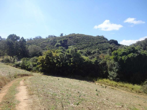 Imagem 11 de 30 de Fazenda De Café Em Monte Sião-mg - 7676