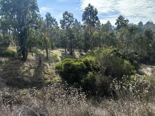 Terreno En Venta En Comuna De Navidad, 5.000 M2, Vi Región,