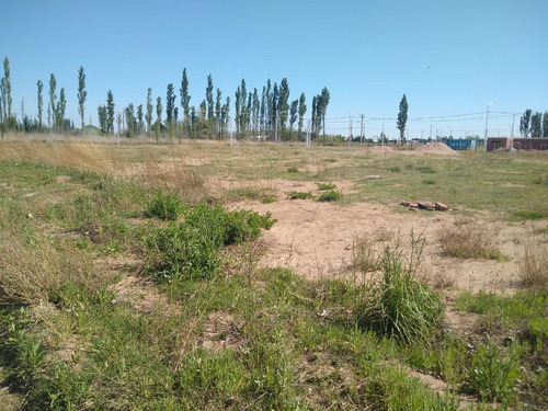 Imagen 4 de 7 de Terreno. Plottier. Venta. Barrio Mangeles