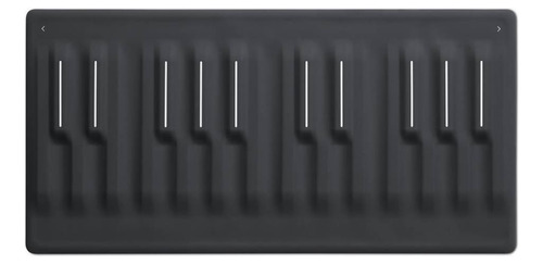 Roli Seaboard Block