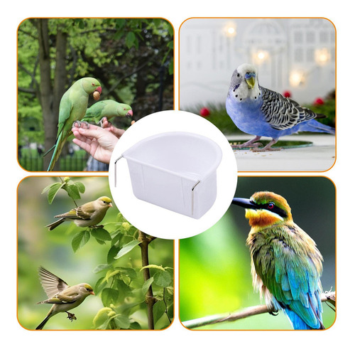 Taza Para De Pájaros Para Pájaros Para Jau