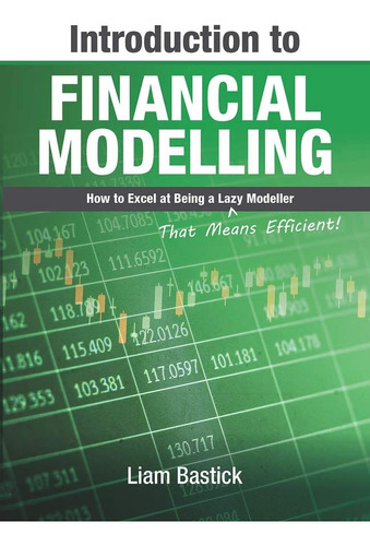 Libro: Introduction To Financial Modelling: How To Excel At