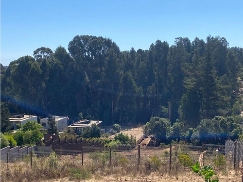 Amplio Terreno En Seguro Condominio, Los Pinos
