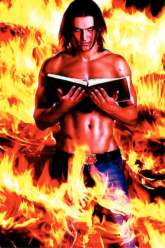 Ryan Of The Wildfire, De Wilson, W. Shane. Editorial Al Lavallis Enterprises Llc, Tapa Blanda En Inglés