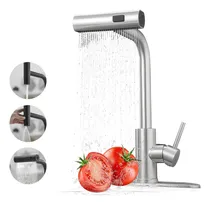 Comprar Banna 3 En 1 Llave Mezcladora Para Fregadero Llave De Agua Cocina Grifería De Cocina Monocomando Canilla Griferías Convencionales Mezcladora Para Fregadero Flexible Llave Cocina Puede Sacar Plateado