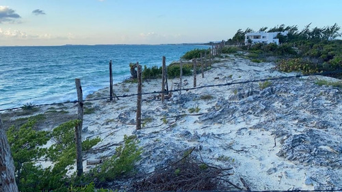 Imagen 10 de 10 de Terreno Isla Blanca Venta Frente De Playa