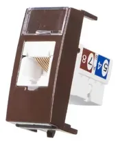 Comprar Módulo Tomada Rede Informática Rj45 Cat5e Marrom Margirius