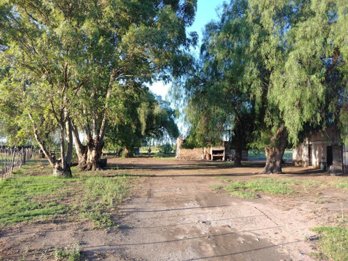 Imagen 8 de 13 de Vendo Finca San Rafael Goudge