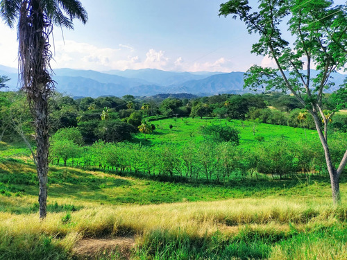 Venta De Lotes En Sopetrán, Antioquia