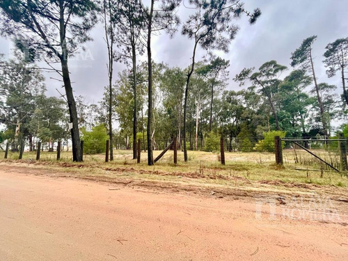 Imagen 1 de 10 de Venta Lote Apto Ph - Zona Comercial - Punta Del Este - Ref:4481520