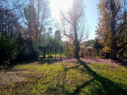 Imagen 9 de 29 de Venta Terreno Para Desarrollar Con Vivienda Y Pileta Roldán.
