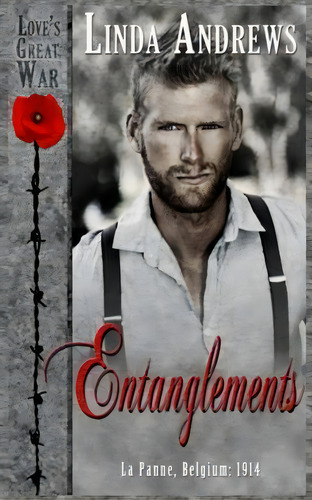 Entanglements, De Linda Andrews. Editorial Createspace Independent Publishing Platform, Tapa Blanda En Inglés