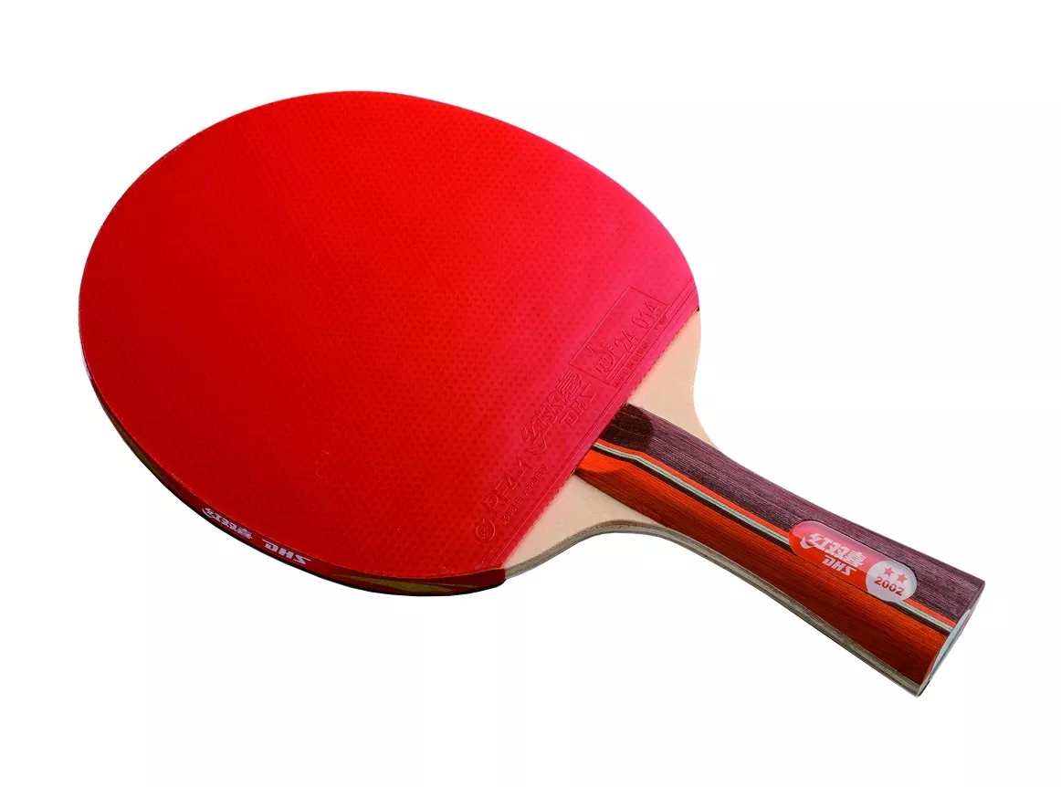 Primera imagen para búsqueda de paleta ping pong