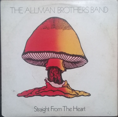 Compacto Vinil The Allman Brothers Band Straigth From The