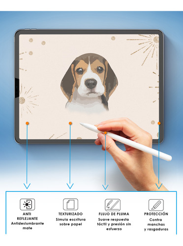 Protector Pantalla Mate Para iPad Pro 12.9 Dibujo Paper 2pck