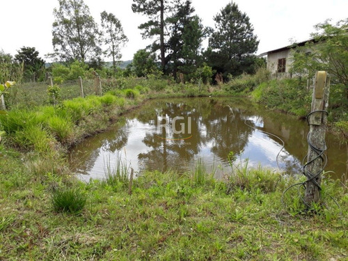 Terreno Em Taruma - Bt8378