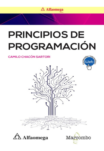 Libro Ao Principios De Programación