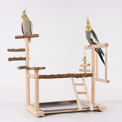 Juego De Columpios, Jaula De Loros, Juguete, Columpio, Parqu