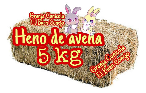 Delicioso Heno De Avena 5 Kg Granja Cunicola El Buen Conejo