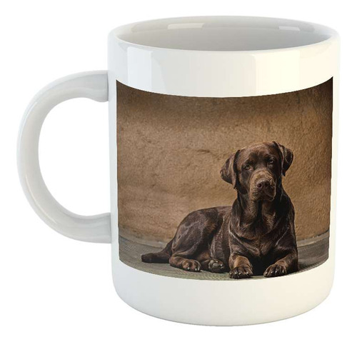 Taza Ceramica Perros 11 Labrador Sombrero Botella